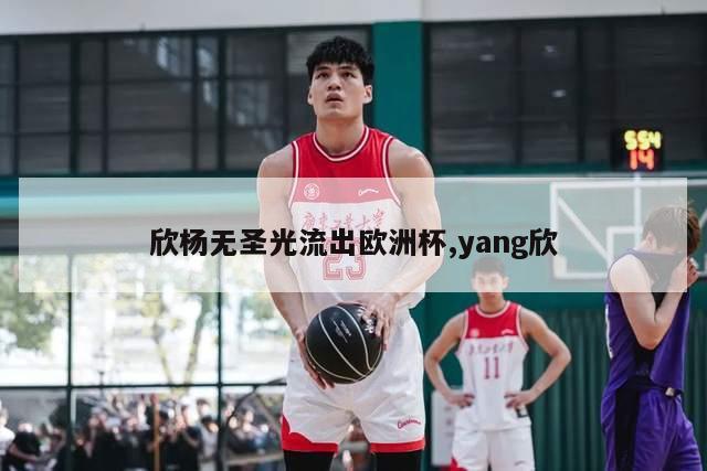 欣杨无圣光流出欧洲杯,yang欣