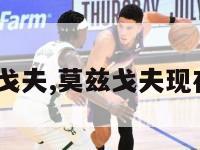 2k14莫兹戈夫,莫兹戈夫现在在哪个队