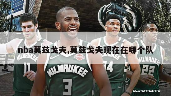 nba莫兹戈夫,莫兹戈夫现在在哪个队