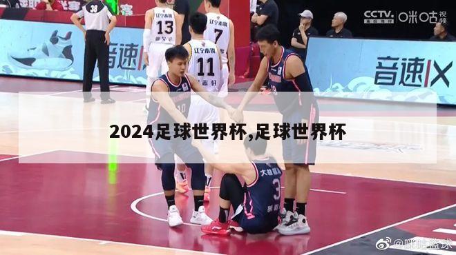 2024足球世界杯,足球世界杯