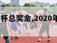 2024世界杯总奖金,2020年世界杯奖金