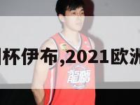 2024欧洲杯伊布,2021欧洲杯有伊布