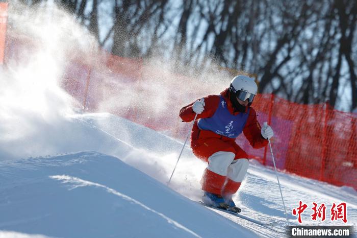 （十四冬）综合消息：自由式滑雪双人雪上技巧收官 名将凌智无缘冰壶混双决赛