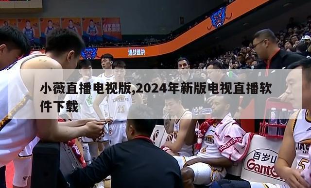 小薇直播电视版,2024年新版电视直播软件下载