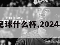 2024足球什么杯,2024年足球