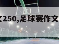 足球赛作文250,足球赛作文300字三年级